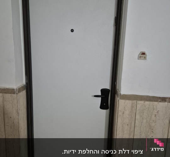 דלת מתכת עם ידית שחורה ומסגרת כהה